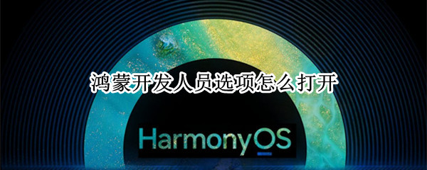 鸿蒙开发人员选项怎么打开