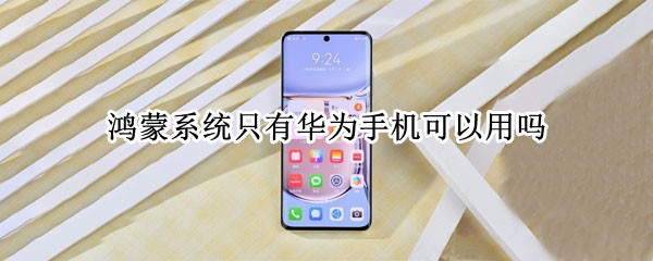 鸿蒙系统只有华为手机可以用吗