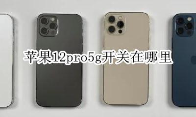 苹果12pro5g开关在哪里 苹果12pro的12G开关在哪