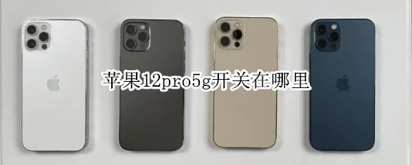 苹果12pro5g开关在哪里