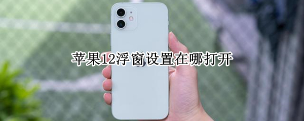 苹果12浮窗设置在哪打开