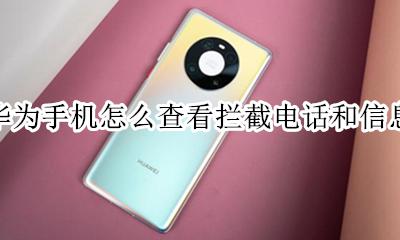华为手机怎么查看拦截电话和信息 华为手机如何查看拦截的电话和信息