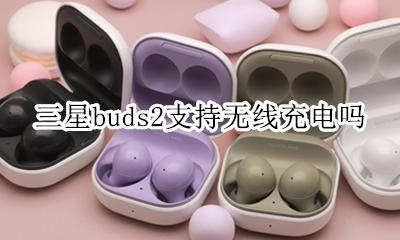 三星buds2支持无线充电吗 三星buds能用手机充电器充电吗