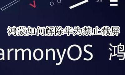 鸿蒙如何解除华为禁止截屏 解除应用截屏限制教程