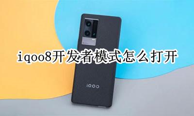 iqoo开发者选项在哪打开 iqoo8开发者模式怎么打开