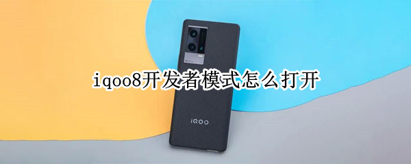 iqoo8开发者模式怎么打开