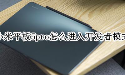小米平板怎么打开开发者选项 小米平板5pro怎么进入开发者模式