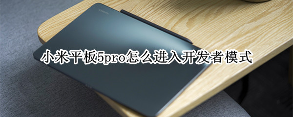 小米平板5pro怎么进入开发者模式