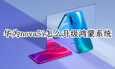 华为nova5i怎么升级鸿蒙系统 华为nova5可以升级鸿蒙系系统吗