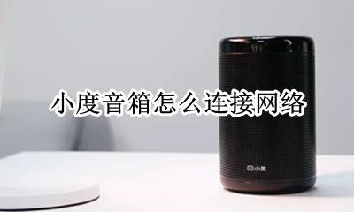 小度音箱如何联网 小度音箱怎么连接网络