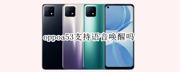 oppoa53支持语音唤醒吗