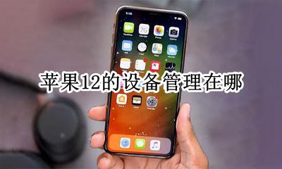 苹果12的设备管理在哪 iphone 12的设备管理在哪里