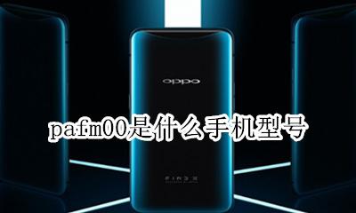 pafm00是什么手机型号 par-al00是什么型号手机