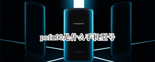 pafm00是什么手机型号