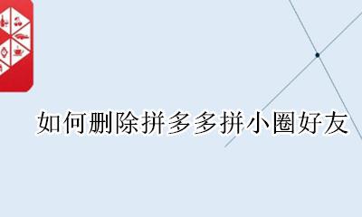 如何删除拼多多拼小圈好友 怎么删除拼多多拼小圈好友
