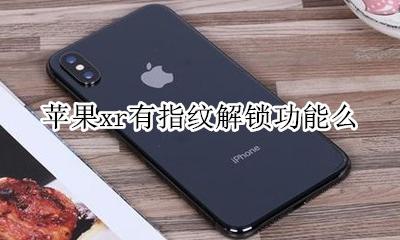 苹果xr能指纹解锁吗 苹果xr有指纹解锁功能么
