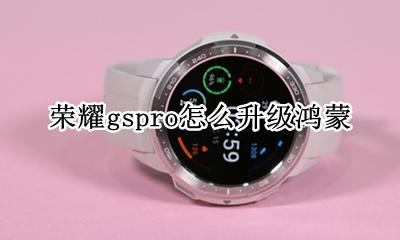 荣耀怎样升级鸿蒙 荣耀gspro怎么升级鸿蒙