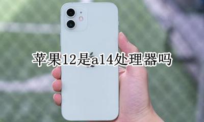 a12处理器是苹果几 苹果12是a14处理器吗