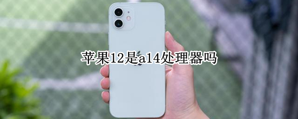 苹果12是a14处理器吗