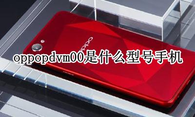 oppopdvm00是什么型号手机 oppopdpt00是什么手机型号
