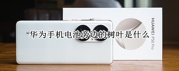 华为手机电池旁边的树叶是什么