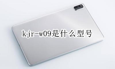 kjr-w09是什么型号 jdn-w09是什么型号