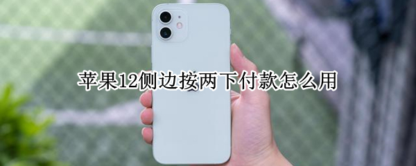 苹果12侧边按两下付款怎么用