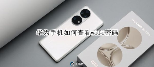 华为手机如何查看wifi密码