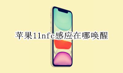 苹果11nfc感应在哪唤醒 iphone11nfc感应位置