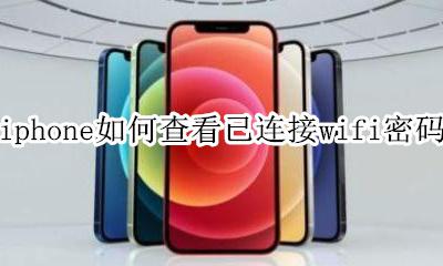 iphone如何查看已连接wifi密码 iphone如何查询已连接wifi密码