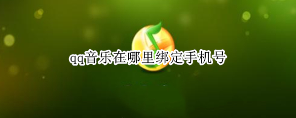 qq音乐在哪里绑定手机号