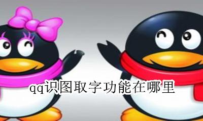 qq识图取字功能在哪里 qq图片识字功能在哪里
