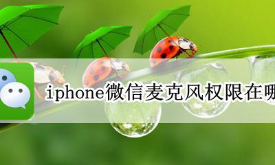 安卓微信麦克风权限在哪里 iphone微信麦克风权限在哪里