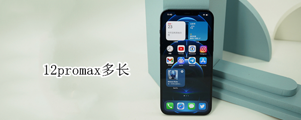 12promax多长