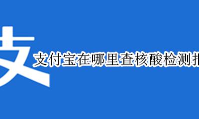 支付宝在哪里查核酸检测报告 支付宝里怎么查询核酸检测报告