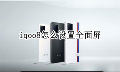 iqoo查看手机配置 iqoo8怎么设置全面屏