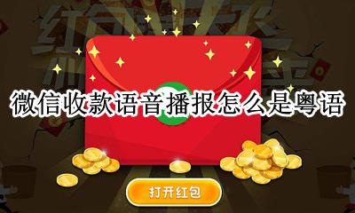 微信收款语音播报怎么是粤语 微信收款语音播报是粤语怎么调