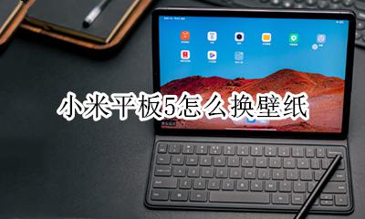 小米平板5怎么换壁纸 小米平板动态壁纸怎么弄