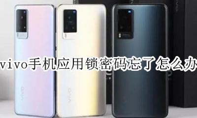 vivo的应用锁密码忘了怎么办 vivo手机应用锁密码忘了怎么办