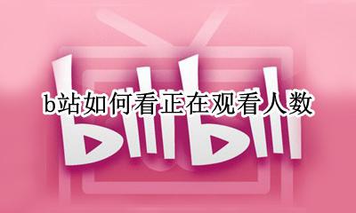 b站如何看正在观看人数 b站正在观看人数在哪里