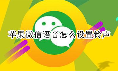苹果微信语音怎么设置铃声 苹果怎么设置微信电话铃声