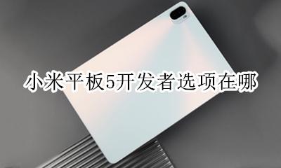 小米五开发者选项在哪 小米平板5开发者选项在哪
