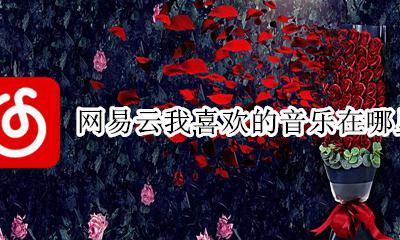 网易云我喜欢的音乐在哪里 网易云音乐的我喜欢的音乐在哪里