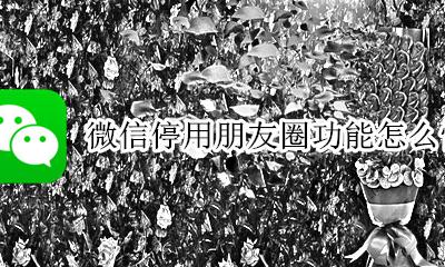 怎么样停用微信朋友圈 微信停用朋友圈功能怎么恢复