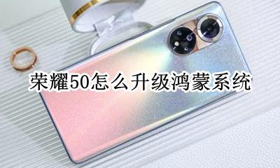 荣耀50怎么升级鸿蒙系统 荣耀50鸿蒙系统升级教程