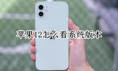苹果12怎么看系统版本 苹果12的系统版本是多少