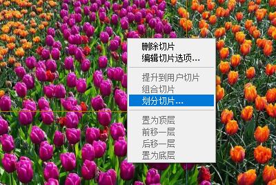 ps切片工具切图方法