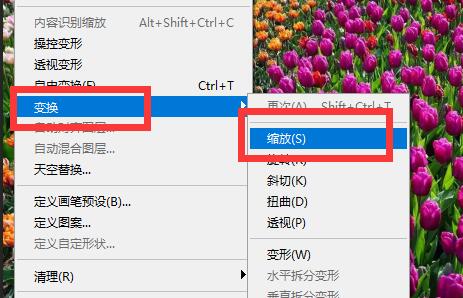 ps放大缩小图片方法