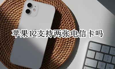 苹果12支持两张电信卡吗 苹果12能上两张电信卡吗