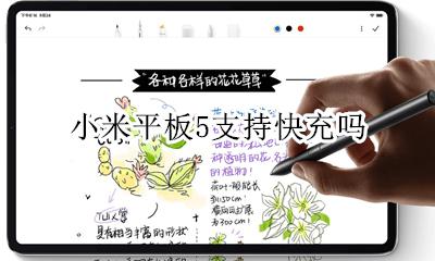 小米5c支持快充吗 小米平板5支持快充吗